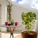 Corfu Birdhouse Apartamento