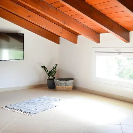 Corfu Birdhouse Agios Prokopios (Corfu)