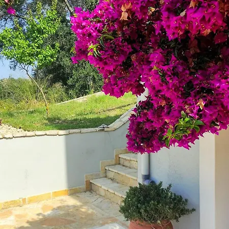 Corfu Birdhouse Agios Prokopios (Corfu)