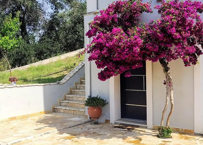 Corfu Birdhouse *