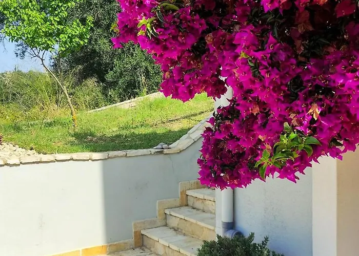 Corfu Birdhouse Agios Prokopios (Corfu)